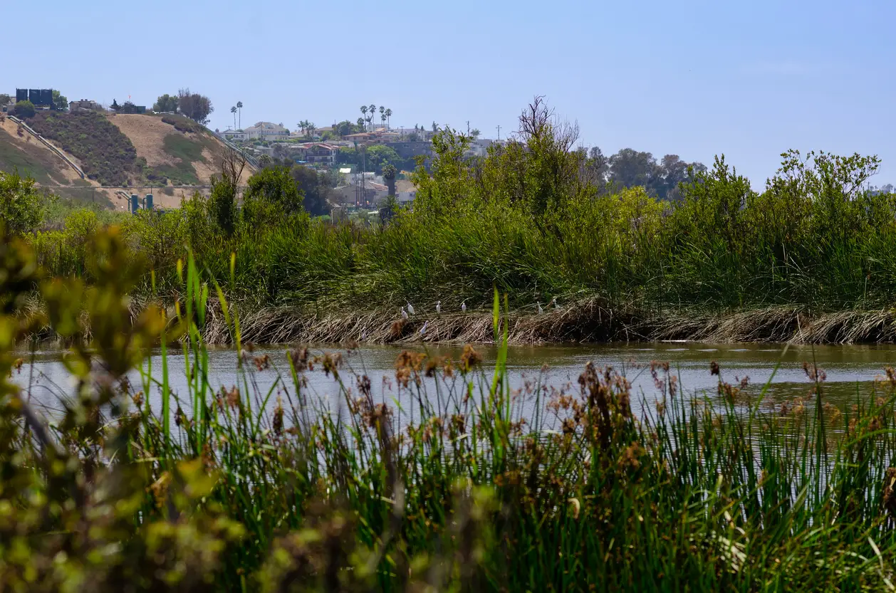 ballona wetlands ecological reserve, which features a small river, swamps, uplands and a salt marsh.